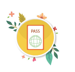 passport icon