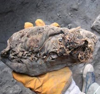 oldest shoe in the world image