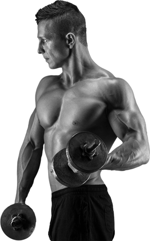 picture of a trainer